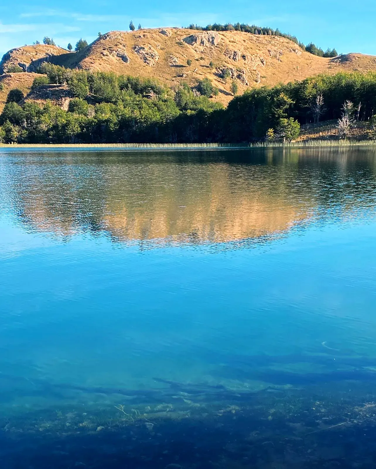 Parcelas Lago Castor, Coyhaique