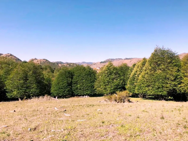 Parcelas Lago Castor, Coyhaique — el terreno, fotografía 4